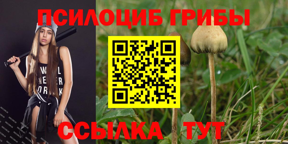 Псилоцибиновые грибы GOLDEN TEACHER  где купить наркоту  Тольятти  Вход с VPN 