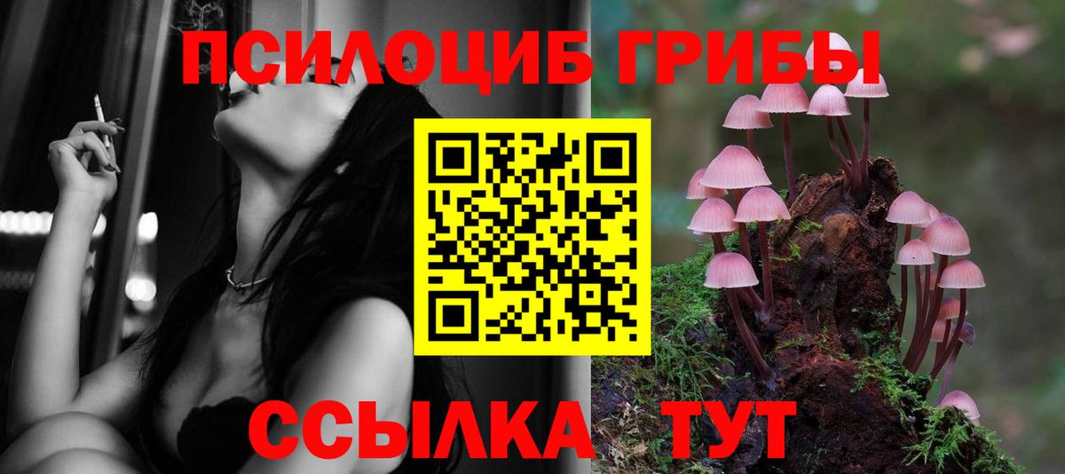 Псилоцибиновые грибы Cubensis Тольятти