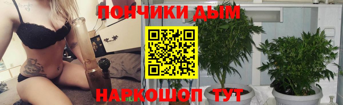 Марихуана SATIVA & INDICA Тольятти